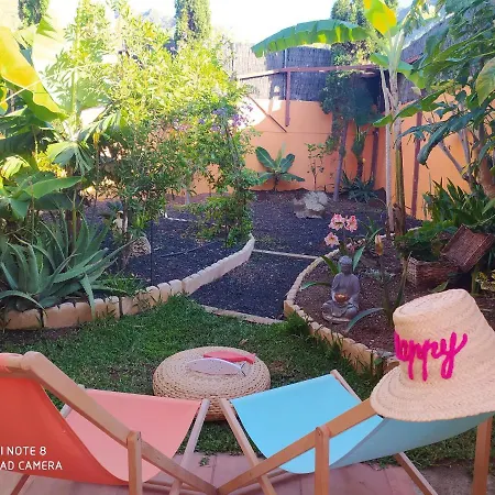 Studio With Enclosed Garden And Wifi At Bajamar 1 Km Away From The Beach