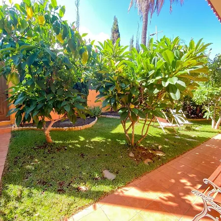 Studio With Enclosed Garden And Wifi At Bajamar 1 Km Away From The Beach