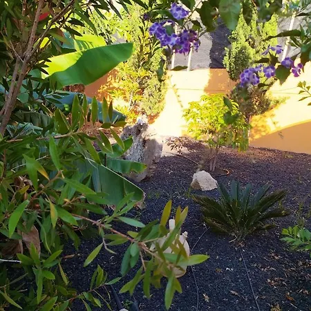 Apartamento Studio With Enclosed Garden And Wifi At Bajamar 1 Km Away From The Beach Bajamar (La Laguna)