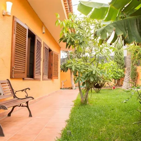Studio With Enclosed Garden And Wifi At Bajamar 1 Km Away From The Beach * Bajamar (La Laguna)