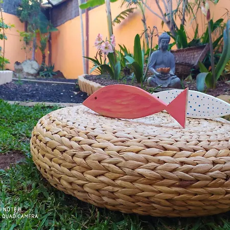 Studio With Enclosed Garden And Wifi At Bajamar 1 Km Away From The Beach Bajamar (La Laguna)