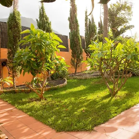 Appartement Studio With Enclosed Garden And Wifi At Bajamar 1 Km Away From The Beach Bajamar (La Laguna)