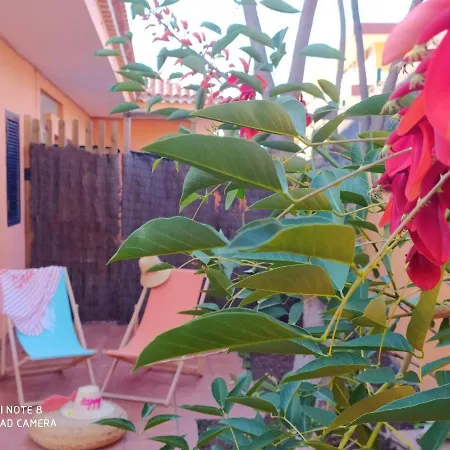 Studio With Enclosed Garden And Wifi At Bajamar 1 Km Away From The Beach * Bajamar (La Laguna)