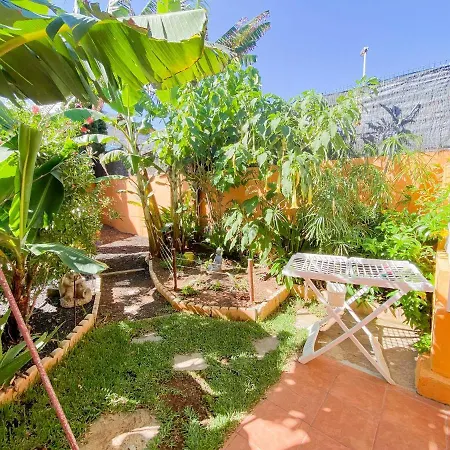 Appartement Studio With Enclosed Garden And Wifi At Bajamar 1 Km Away From The Beach Bajamar (La Laguna)