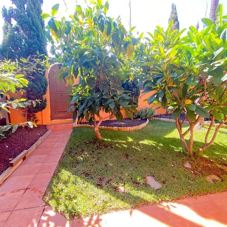 Appartement Studio With Enclosed Garden And Wifi At Bajamar 1 Km Away From The Beach *