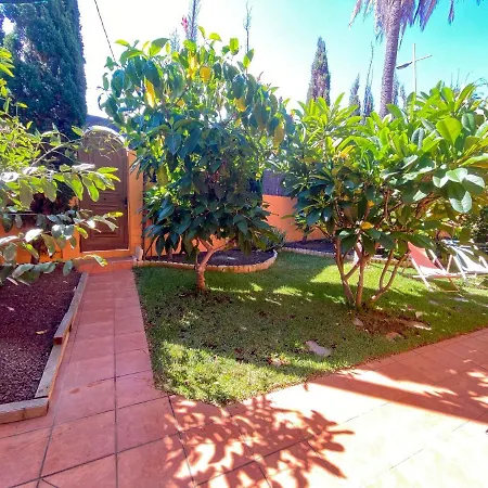 Studio With Enclosed Garden And Wifi At Bajamar 1 Km Away From The Beach Appartement *