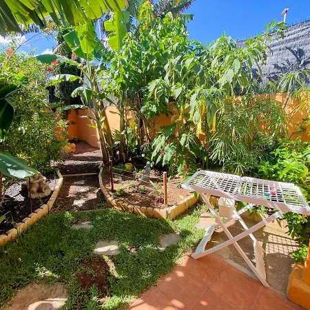 Studio With Enclosed Garden And Wifi At Bajamar 1 Km Away From The Beach * Bajamar (La Laguna)