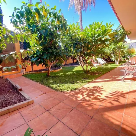 Studio With Enclosed Garden And Wifi At Bajamar 1 Km Away From The Beach * Bajamar (La Laguna)