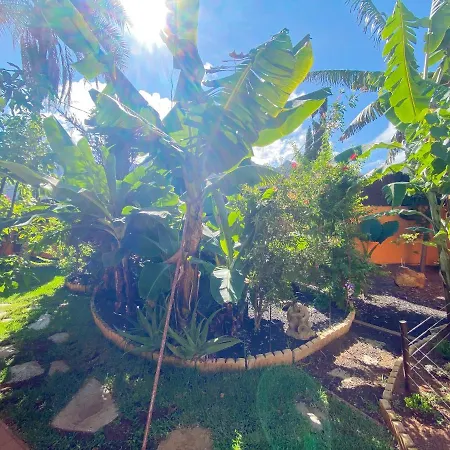 Appartement Studio With Enclosed Garden And Wifi At Bajamar 1 Km Away From The Beach