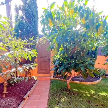 Studio With Enclosed Garden And Wifi At Bajamar 1 Km Away From The Beach Bajamar (La Laguna)