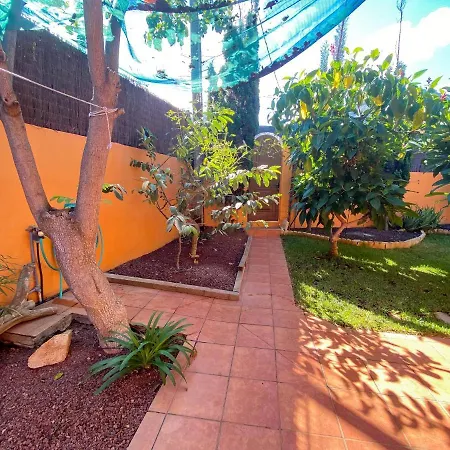Studio With Enclosed Garden And Wifi At Bajamar 1 Km Away From The Beach Appartement Bajamar (La Laguna)
